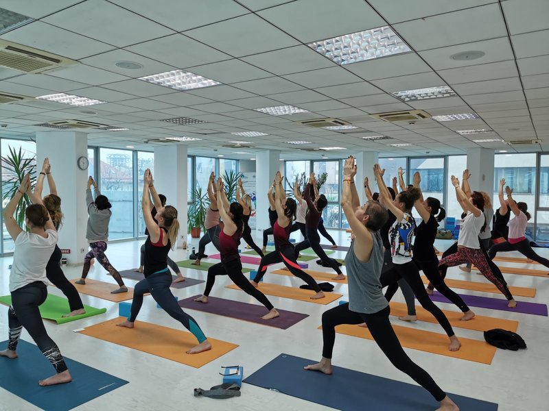Yoga Academy Romania - Curs instructor de yoga